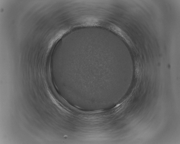 X0000071850677200606301338