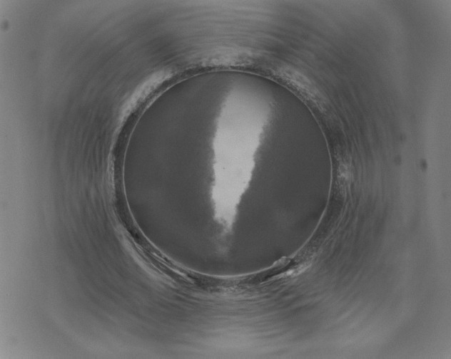 X0000071850678200606301338