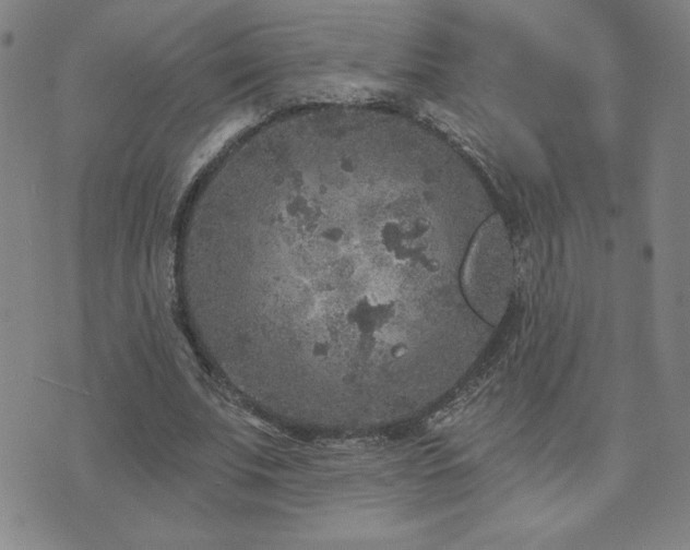 X0000071850679200606301338