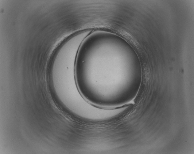 X0000071850680200606301338