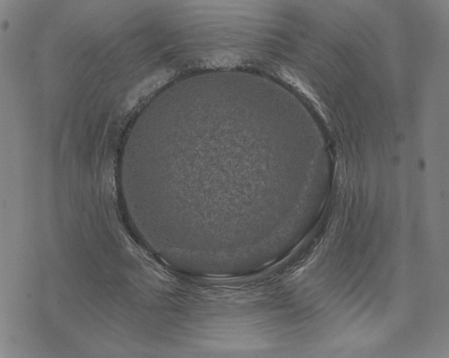 X0000071850681200606301338