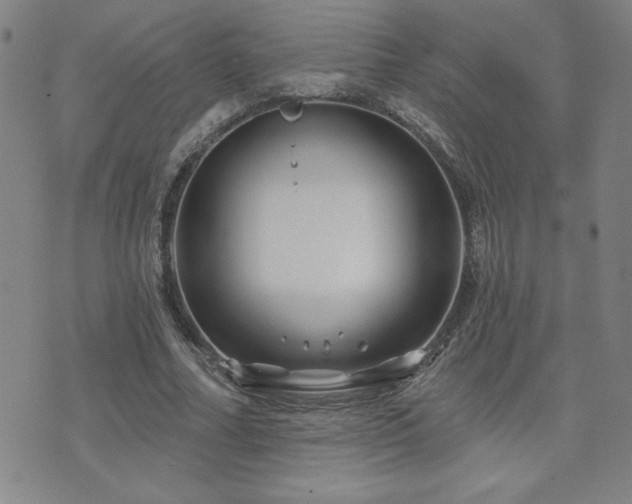 X0000071850682200606301338