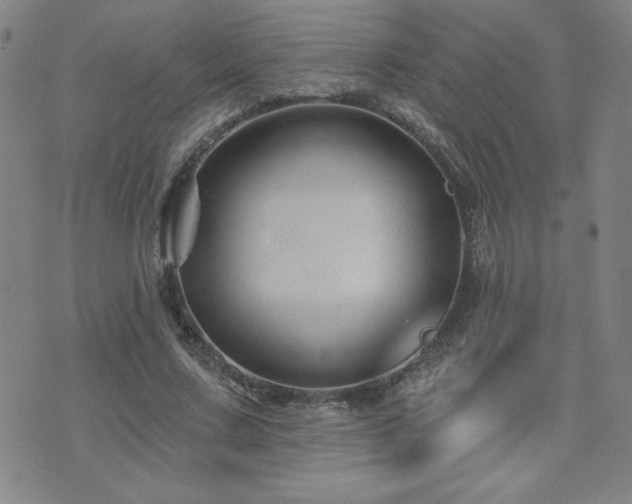 X0000071850683200606301338