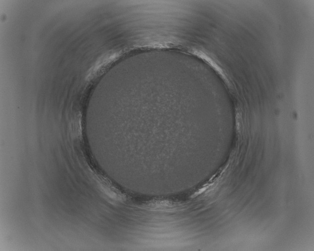 X0000071850685200606301338