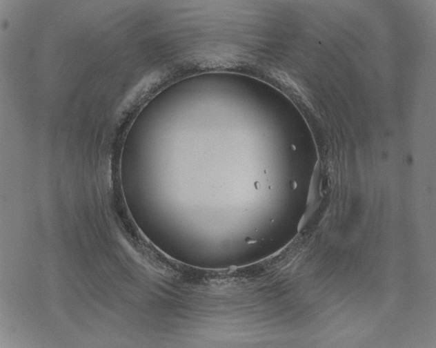 X0000071850686200606301338