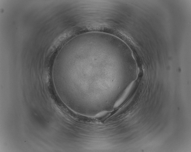 X0000071850687200606301338