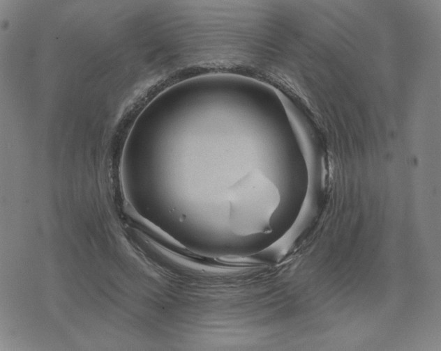 X0000071850688200606301338