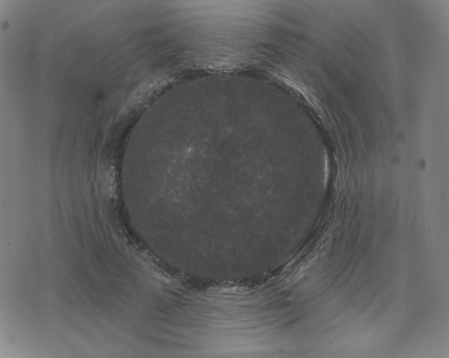 X0000071850689200606301338