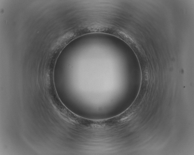 X0000071850690200606301338