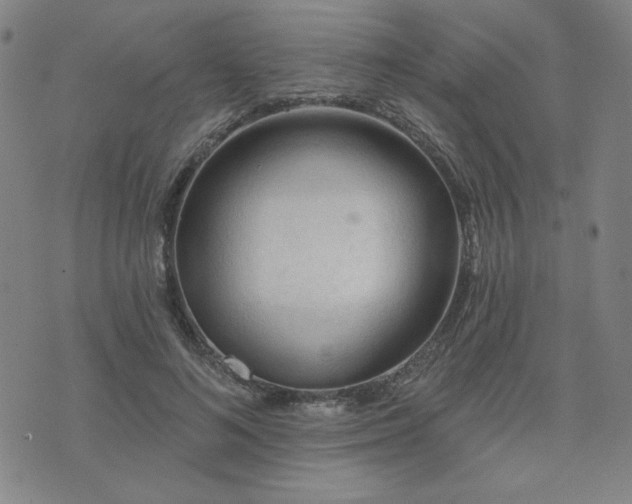 X0000071850692200606301338