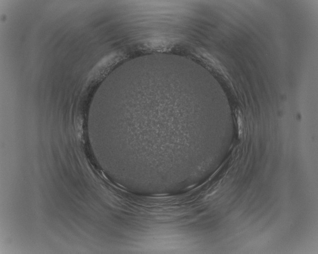 X0000071850693200606301337