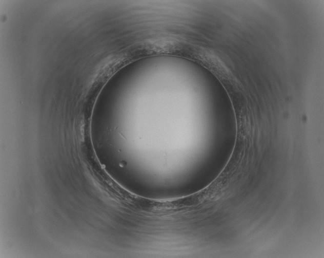 X0000071850694200606301337