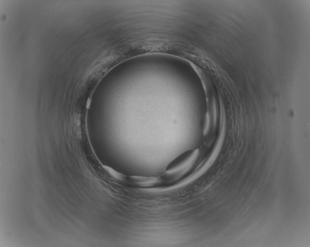 X0000071850696200606301337