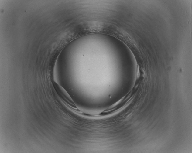 X0000071850697200606301337