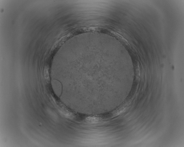 X0000071850699200606301337