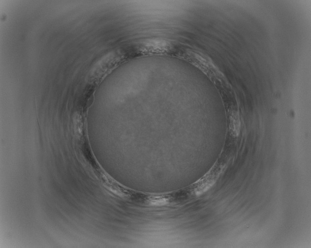 X0000071850701200606301337