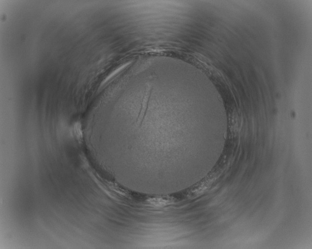 X0000071850703200606301337