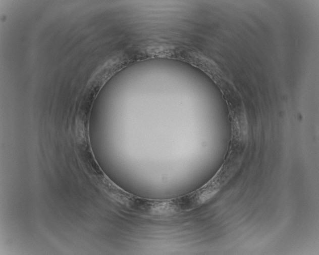 X0000071850705200606301337