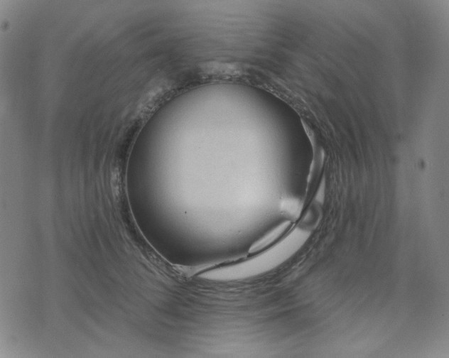 X0000071850708200606301337