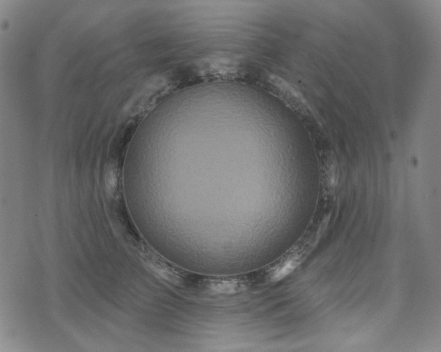 X0000071850709200606301337