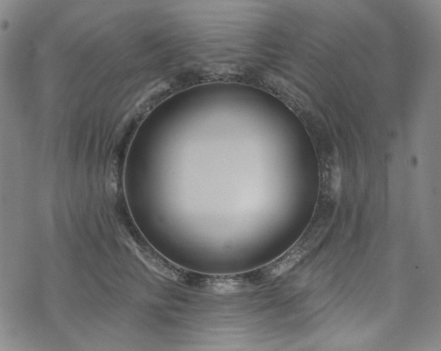 X0000071850710200606301337