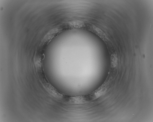 X0000071850713200606301337