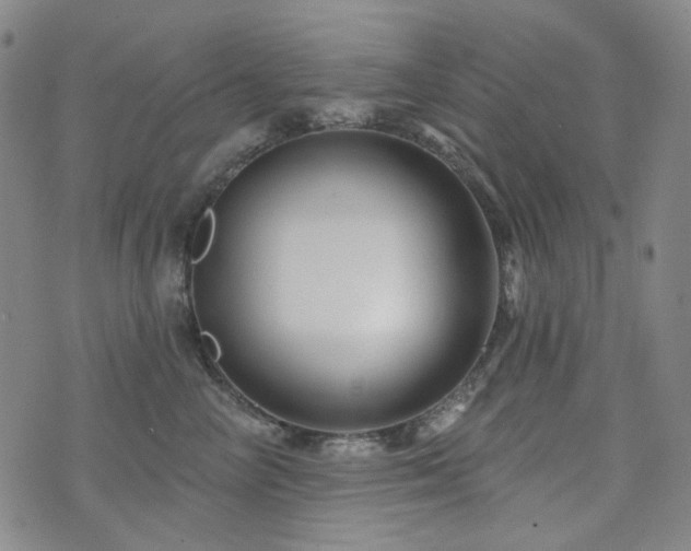 X0000071850714200606301337