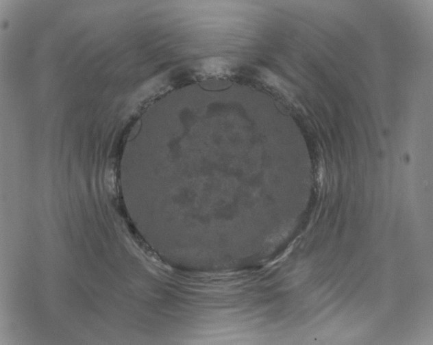 X0000071850715200606301337