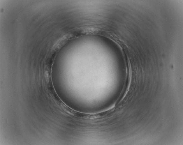 X0000071850716200606301337