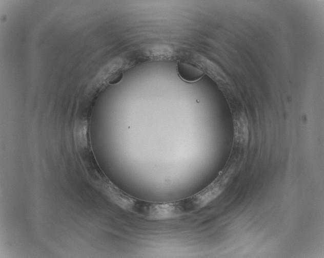 X0000071850717200606301337