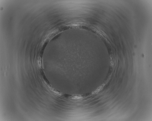 X0000071850718200606301337