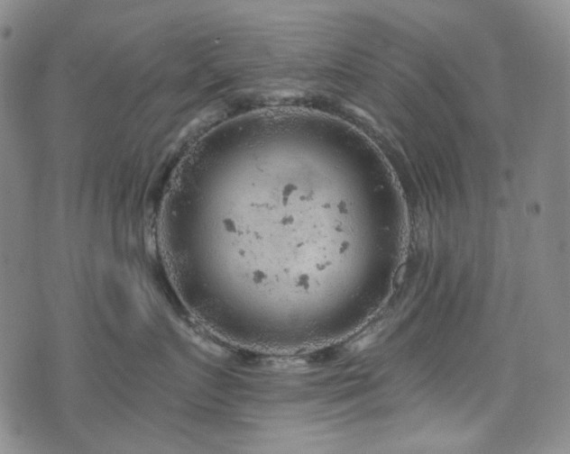 X0000071850719200606301337