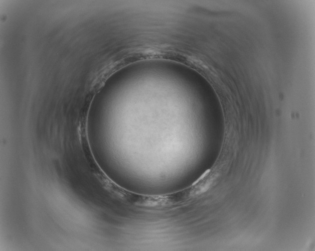 X0000071850720200606301337