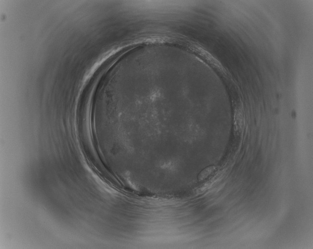 X0000071850722200606301336