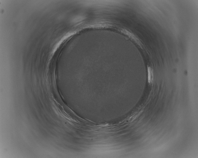 X0000071850723200606301336