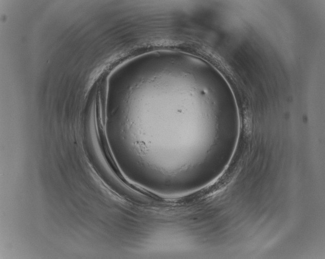 X0000071850725200606301336