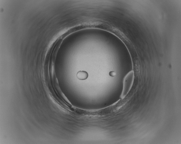 X0000071850726200606301336