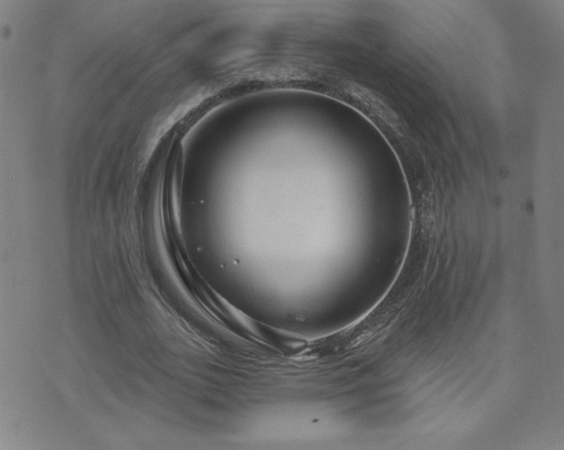 X0000071850727200606301336