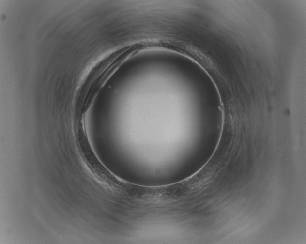 X0000071850728200606301336