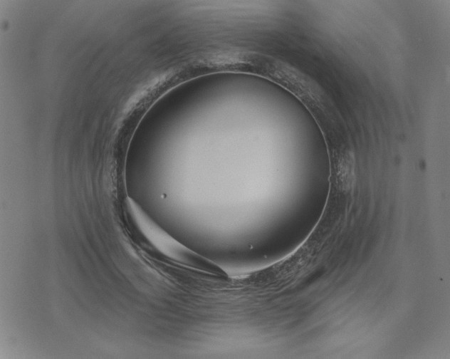 X0000071850732200606301336