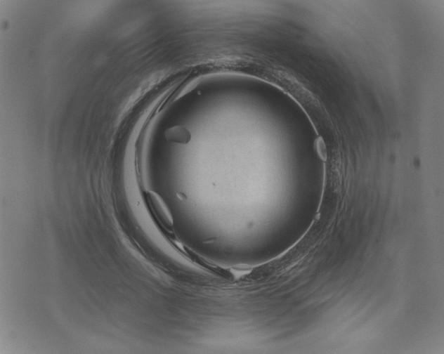 X0000071850734200606301337