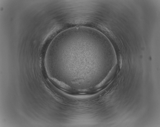 X0000071850735200606301337