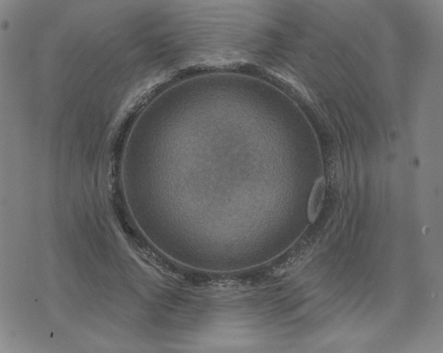 X0000071850736200606301337