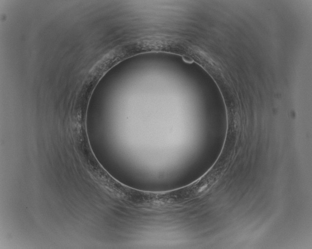 X0000071850737200606301337