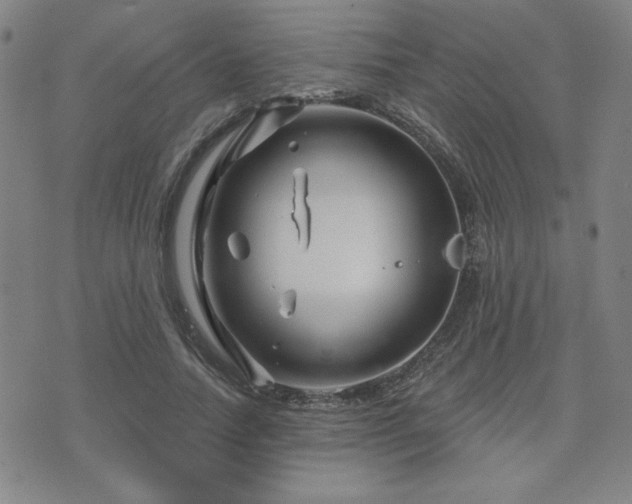 X0000071850738200606301337