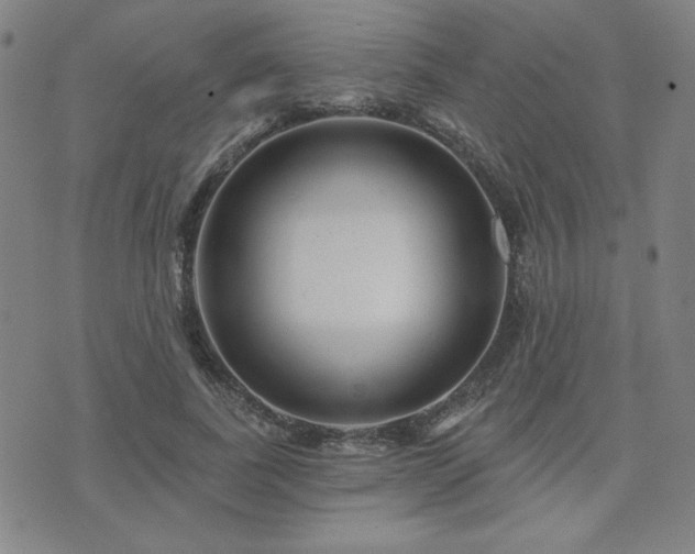 X0000071850739200606301337