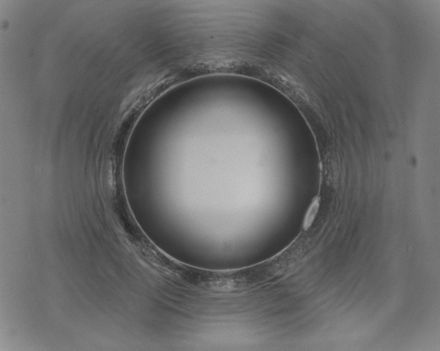 X0000071850740200606301337