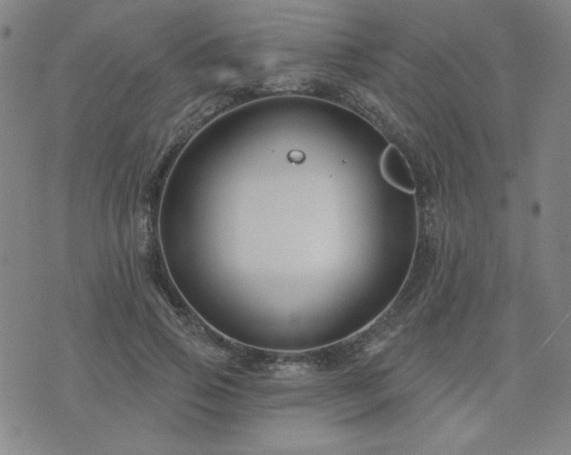 X0000071850741200606301337