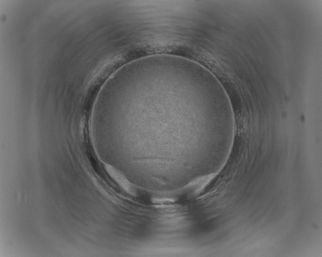 X0000071850742200606301337