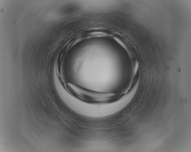 X0000071850743200606301337